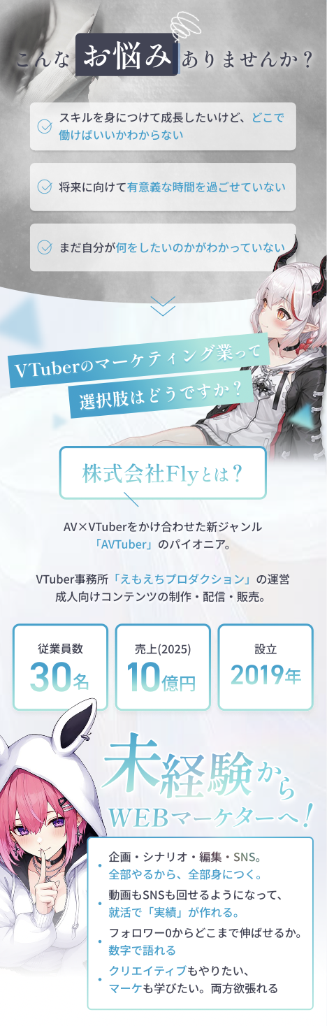 株式会社Flyについて